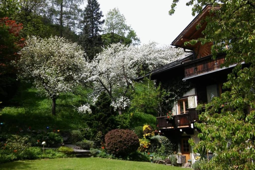 Haus Weidmannsheil - Wohnen Im Romantischen Forsthaus فيرفين المظهر الخارجي الصورة